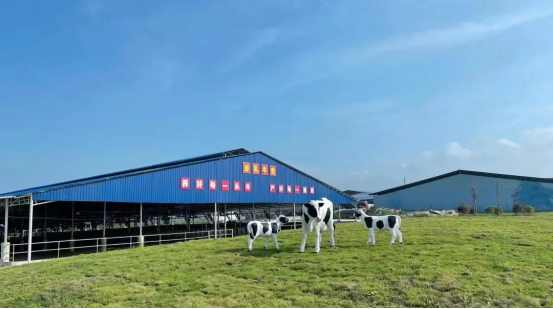 奶源建設(shè)再提速！田東縣皇氏奶業(yè)示范區(qū)正式投產(chǎn)！